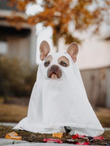 Read more about the article How to Remove Instagram Ghost Followers WITHOUT Using ANY Apps
