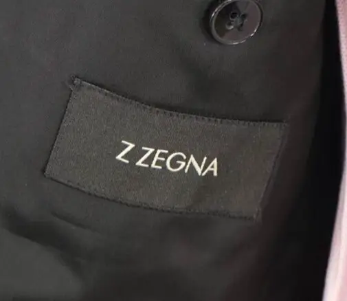 A Z Zegna logo.